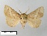  ( - WITT-LIMAC-308)  @13 [ ] Unspecified (default): All Rights Reserved  Unspecified Unspecified