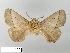  ( - WITT-LIMAC-309)  @13 [ ] Unspecified (default): All Rights Reserved  Unspecified Unspecified
