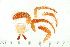  ( - HLC-24546)  @13 [ ] CreativeCommons - Attribution (2008) Unspecified Centre for Biodiversity Genomics