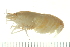  ( - HLC-24964)  @11 [ ] CreativeCommons - Attribution (2008) Unspecified Centre for Biodiversity Genomics