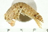  ( - HLC-24874)  @13 [ ] CreativeCommons - Attribution (2008) Unspecified Centre for Biodiversity Genomics