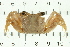  ( - HLC-24880)  @14 [ ] CreativeCommons - Attribution (2008) Unspecified Centre for Biodiversity Genomics