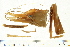  ( - HLC-24886)  @13 [ ] CreativeCommons - Attribution (2008) Unspecified Centre for Biodiversity Genomics