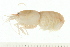  ( - HLC-24963)  @11 [ ] CreativeCommons - Attribution (2008) Unspecified Centre for Biodiversity Genomics