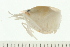  ( - HLC-24967)  @11 [ ] CreativeCommons - Attribution (2008) Unspecified Centre for Biodiversity Genomics