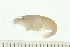 ( - HLC-24968)  @11 [ ] CreativeCommons - Attribution (2008) Unspecified Centre for Biodiversity Genomics