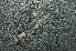  ( - MXAh-51)  @11 [ ] No Rights Reserved  R. Novelo Unspecified