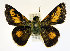  ( - Linda 16)  @11 [ ] Unspecified (default): All Rights Reserved  Unspecified Unspecified