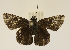  ( - Linda 3)  @11 [ ] Unspecified (default): All Rights Reserved  Unspecified Unspecified