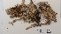  ( - CCDB-48753 A10)  @11 [ ] CreativeCommons  Attribution (by) (2024) Erin Cox Polar Knowledge Canada