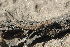  ( - LIO- MCN 1713)  @11 [ ] CreativeCommons - Attribution Non-Commercial No Derivatives (2015) Unspecified MCN