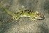  ( - LIO- MCN 2499)  @11 [ ] CreativeCommons - Attribution Non-Commercial No Derivatives (2015) Unspecified MCN