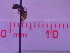  ( - CCDB-46565-G05)  @11 [ ] CreativeCommons  Attribution Share-Alike (2023) Laurence Packer York University