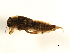  ( - 10LJMAY-036)  @12 [ ] CreativeCommons - Attribution (2010) CBG Photography Group Centre for Biodiversity Genomics