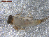  ( - BIOUG00640-E12)  @12 [ ] CreativeCommons - Attribution (2011) CBG Photography Group Centre for Biodiversity Genomics