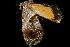  ( - 06-NSWL-00030)  @12 [ ] Copyright (2010) Unspecified Unspecified
