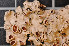  ( - LL23)  @11 [ ] CreativeCommons - Attribution Non-Commercial Share-Alike (2011) Louise Lindblom University of Bergen