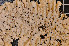  ( - LL23)  @11 [ ] CreativeCommons - Attribution Non-Commercial Share-Alike (2011) Louise Lindblom University of Bergen