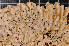  ( - LL23)  @11 [ ] CreativeCommons - Attribution Non-Commercial Share-Alike (2011) Louise Lindblom University of Bergen