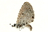  ( - AC0015-8002415)  @12 [ ] CreativeCommons - Attribution (2010) Unspecified Centre for Biodiversity Genomics