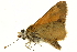  ( - AC0234-8003152)  @11 [ ] CreativeCommons - Attribution (2010) Unspecified Centre for Biodiversity Genomics