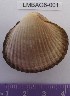  ( - LMBAG6-001)  @11 [ ] Unspecified (default): All Rights Reserved  Unspecified Unspecified