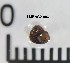  ( - LMBAG9-003)  @12 [ ] Unspecified (default): All Rights Reserved  Unspecified Unspecified