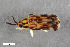  ( - CSE1898.1)  @11 [ ] CreativeCommons  Attribution Share-Alike (by-sa) 4.0 (2016) Unspecified Zoologisches Forschungsmuseum Alexander Koenig