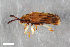  ( - CSE2191)  @11 [ ] CreativeCommons  Attribution Share-Alike (by-sa) 4.0 (2016) Unspecified Zoologisches Forschungsmuseum Alexander Koenig