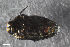  ( - CSE2531.1)  @11 [ ] CreativeCommons  Attribution Share-Alike (by-sa) 4.0 (2017) Unspecified Zoologisches Forschungsmuseum Alexander Koenig