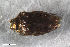  ( - CSE2531.3)  @11 [ ] CreativeCommons  Attribution Share-Alike (by-sa) 4.0 (2017) Unspecified Zoologisches Forschungsmuseum Alexander Koenig