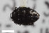  ( - CSE1115.1)  @11 [ ] CreativeCommons  Attribution Share-Alike (by-sa) 4.0 (2017) Unspecified Zoologisches Forschungsmuseum Alexander Koenig