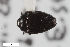  ( - CSE1115.2)  @11 [ ] CreativeCommons  Attribution Share-Alike (by-sa) 4.0 (2017) Unspecified Zoologisches Forschungsmuseum Alexander Koenig