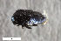  ( - CSE2509)  @11 [ ] CreativeCommons  Attribution Share-Alike (by-sa) 4.0 (2017) Unspecified Zoologisches Forschungsmuseum Alexander Koenig
