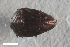  ( - CSE2861.1)  @11 [ ] CreativeCommons  Attribution Share-Alike (by-sa) 4.0 (2017) Unspecified Zoologisches Forschungsmuseum Alexander Koenig