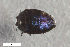  ( - CSE3791.2)  @11 [ ] CreativeCommons  Attribution Share-Alike (by-sa) 4.0 (2017) Unspecified Zoologisches Forschungsmuseum Alexander Koenig
