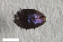  ( - CSE3809)  @11 [ ] CreativeCommons  Attribution Share-Alike (by-sa) 4.0 (2017) Unspecified Zoologisches Forschungsmuseum Alexander Koenig