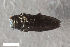  ( - CSE3942.2)  @11 [ ] CreativeCommons  Attribution Share-Alike (by-sa) 4.0 (2017) Unspecified Zoologisches Forschungsmuseum Alexander Koenig