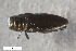  ( - CSE3942.3)  @11 [ ] CreativeCommons  Attribution Share-Alike (by-sa) 4.0 (2017) Unspecified Zoologisches Forschungsmuseum Alexander Koenig