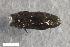  ( - CSE3942.5)  @11 [ ] CreativeCommons  Attribution Share-Alike (by-sa) 4.0 (2017) Unspecified Zoologisches Forschungsmuseum Alexander Koenig
