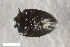  ( - CSE543.2)  @11 [ ] CreativeCommons  Attribution Share-Alike (by-sa) 4.0 (2017) Unspecified Zoologisches Forschungsmuseum Alexander Koenig