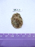  ( - LMBV9-001)  @12 [ ] Unspecified (default): All Rights Reserved  Unspecified Unspecified