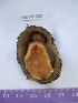  ( - LMBV9-003)  @13 [ ] Unspecified (default): All Rights Reserved  Unspecified Unspecified