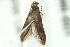  ( - BIOUG01046-B01)  @12 [ ] CreativeCommons - Attribution (2011) CBG Photography Group Centre for Biodiversity Genomics