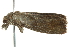  ( - BIOUG01047-H04)  @12 [ ] CreativeCommons - Attribution (2011) CBG Photography Group Centre for Biodiversity Genomics