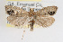  ( - RBMIS-0003)  @11 [ ] CreativeCommons - Attribution (2009) Unspecified Centre for Biodiversity Genomics