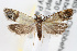  ( - RBMIS-0007)  @12 [ ] CreativeCommons - Attribution (2009) Unspecified Centre for Biodiversity Genomics