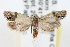  ( - RBMIS-0009)  @12 [ ] CreativeCommons - Attribution (2009) Unspecified Centre for Biodiversity Genomics