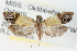  ( - RBMIS-0012)  @13 [ ] CreativeCommons - Attribution (2009) Unspecified Centre for Biodiversity Genomics