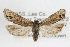  ( - RBMIS-0015)  @12 [ ] CreativeCommons - Attribution (2009) Unspecified Centre for Biodiversity Genomics